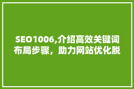 SEO1006,介绍高效关键词布局步骤，助力网站优化脱颖而出