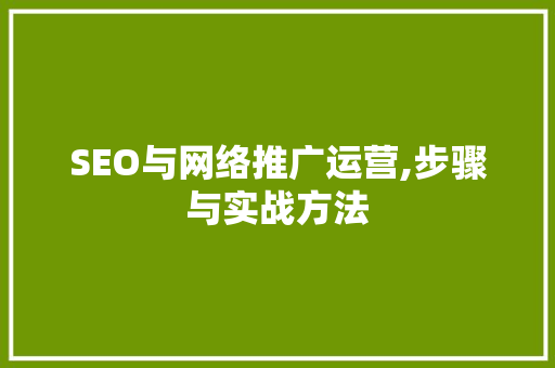 SEO与网络推广运营,步骤与实战方法