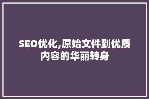 SEO优化,原始文件到优质内容的华丽转身