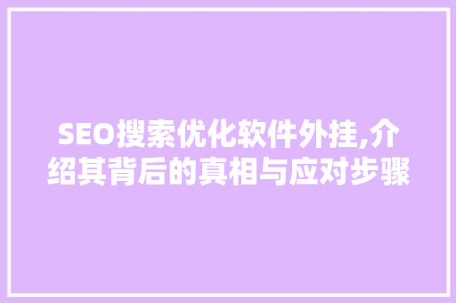 SEO搜索优化软件外挂,介绍其背后的真相与应对步骤