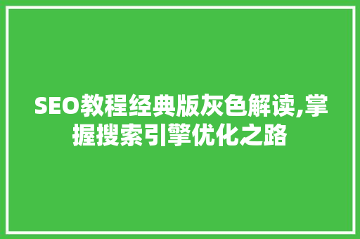 SEO教程经典版灰色解读,掌握搜索引擎优化之路