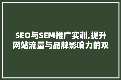 SEO与SEM推广实训,提升网站流量与品牌影响力的双剑合璧  第1张