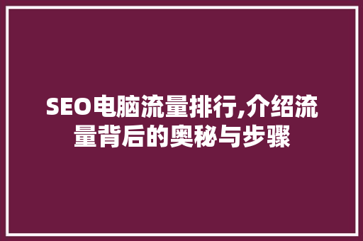 SEO电脑流量排行,介绍流量背后的奥秘与步骤