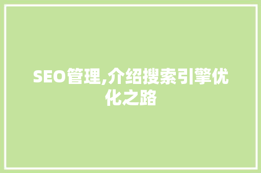 SEO管理,介绍搜索引擎优化之路