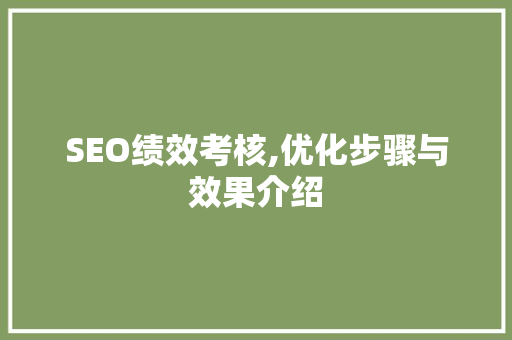 SEO绩效考核,优化步骤与效果介绍
