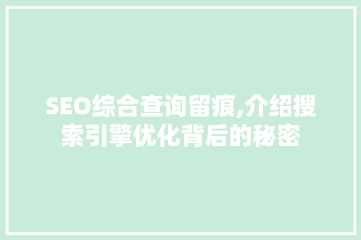 SEO综合查询留痕,介绍搜索引擎优化背后的秘密