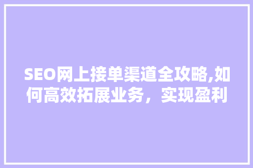 SEO网上接单渠道全攻略,如何高效拓展业务，实现盈利增长