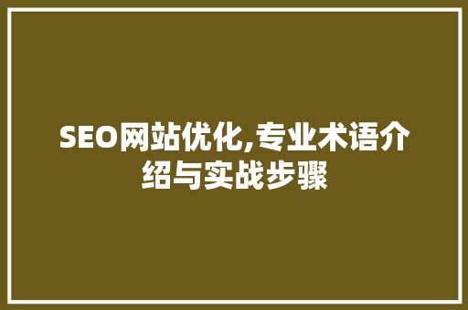 SEO网站优化,专业术语介绍与实战步骤