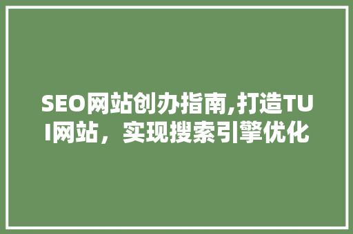 SEO网站创办指南,打造TUI网站，实现搜索引擎优化之路
