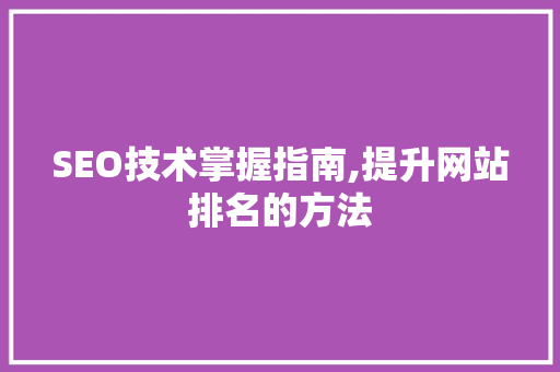 SEO技术掌握指南,提升网站排名的方法