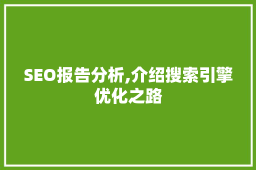 SEO报告分析,介绍搜索引擎优化之路