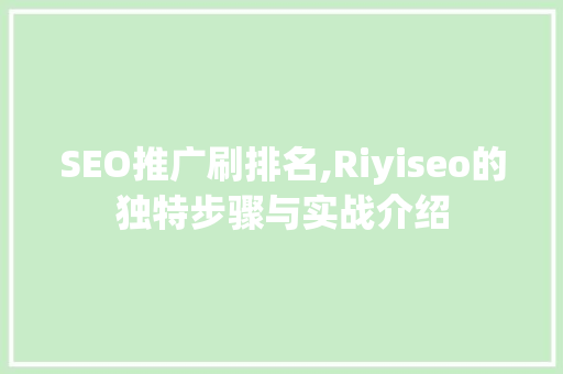 SEO推广刷排名,Riyiseo的独特步骤与实战介绍