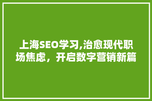 上海SEO学习,治愈现代职场焦虑，开启数字营销新篇章