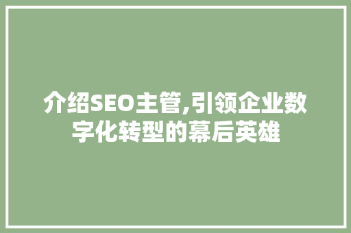 介绍SEO主管,引领企业数字化转型的幕后英雄