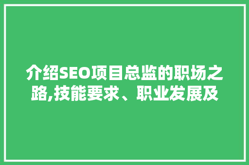 介绍SEO项目总监的职场之路,技能要求、职业发展及行业前景