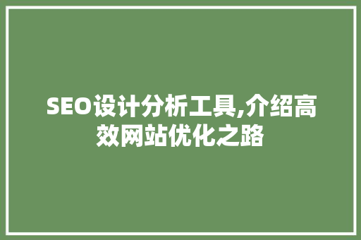 SEO设计分析工具,介绍高效网站优化之路