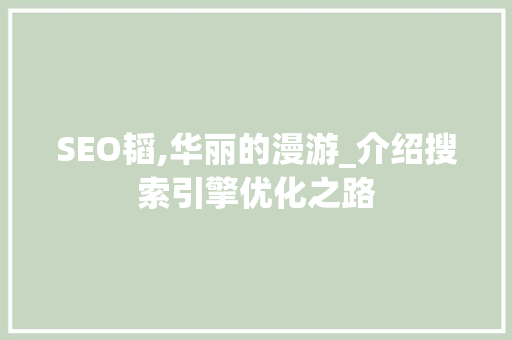 SEO韬,华丽的漫游_介绍搜索引擎优化之路