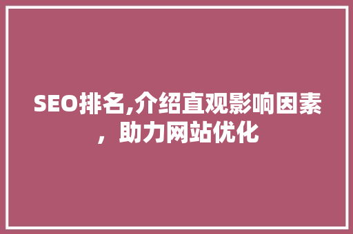 SEO排名,介绍直观影响因素，助力网站优化