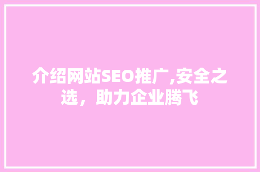 介绍网站SEO推广,安全之选，助力企业腾飞