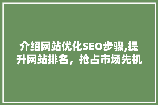 介绍网站优化SEO步骤,提升网站排名，抢占市场先机