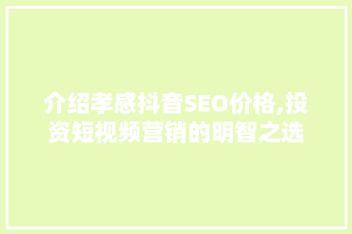 介绍孝感抖音SEO价格,投资短视频营销的明智之选