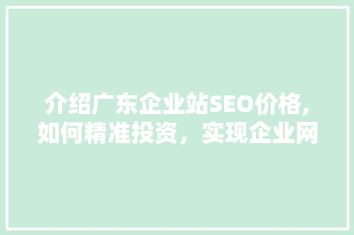介绍广东企业站SEO价格,如何精准投资，实现企业网络营销的华丽转身