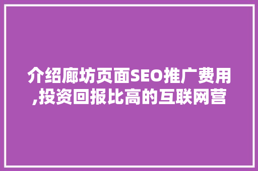 介绍廊坊页面SEO推广费用,投资回报比高的互联网营销步骤
