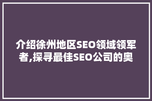介绍徐州地区SEO领域领军者,探寻最佳SEO公司的奥秘