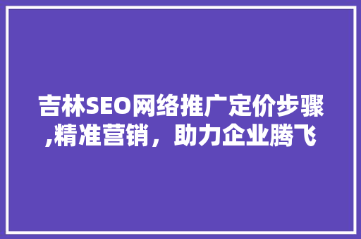 吉林SEO网络推广定价步骤,精准营销，助力企业腾飞
