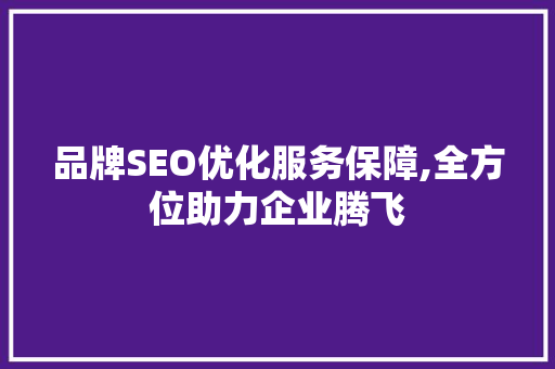 品牌SEO优化服务保障,全方位助力企业腾飞