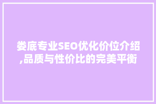 娄底专业SEO优化价位介绍,品质与性价比的完美平衡