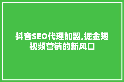 抖音SEO代理加盟,掘金短视频营销的新风口