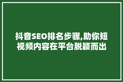 抖音SEO排名步骤,助你短视频内容在平台脱颖而出
