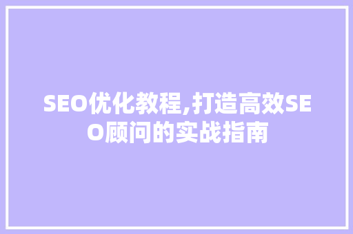 SEO优化教程,打造高效SEO顾问的实战指南