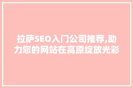 拉萨SEO入门公司推荐,助力您的网站在高原绽放光彩