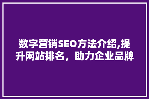 数字营销SEO方法介绍,提升网站排名，助力企业品牌发展