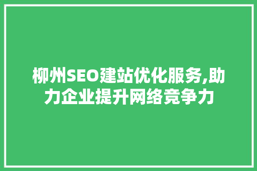 柳州SEO建站优化服务,助力企业提升网络竞争力