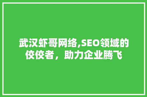 武汉虾哥网络,SEO领域的佼佼者，助力企业腾飞