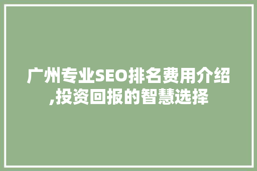 广州专业SEO排名费用介绍,投资回报的智慧选择