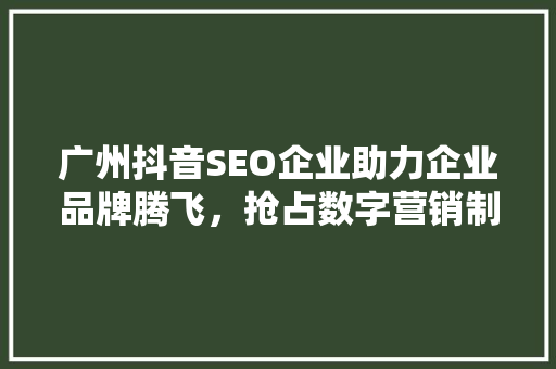 广州抖音SEO企业助力企业品牌腾飞，抢占数字营销制高点