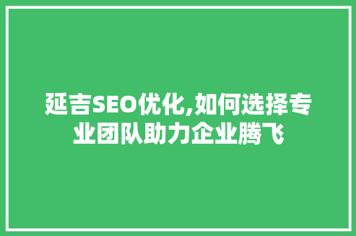 延吉SEO优化,如何选择专业团队助力企业腾飞
