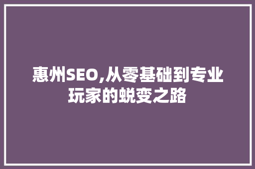 惠州SEO,从零基础到专业玩家的蜕变之路