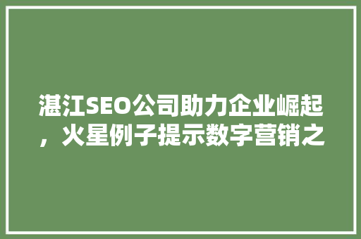 湛江SEO公司助力企业崛起，火星例子提示数字营销之路
