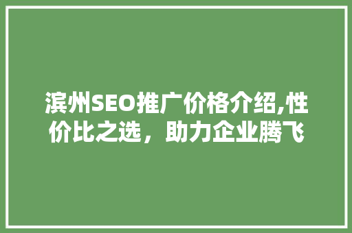 滨州SEO推广价格介绍,性价比之选，助力企业腾飞