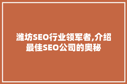 潍坊SEO行业领军者,介绍最佳SEO公司的奥秘