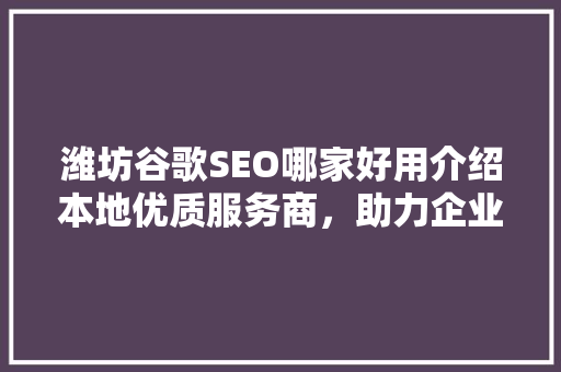 潍坊谷歌SEO哪家好用介绍本地优质服务商，助力企业提升国际竞争力
