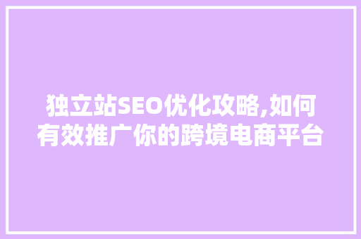 独立站SEO优化攻略,如何有效推广你的跨境电商平台