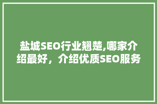 盐城SEO行业翘楚,哪家介绍最好，介绍优质SEO服务背后的秘密