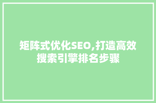 矩阵式优化SEO,打造高效搜索引擎排名步骤