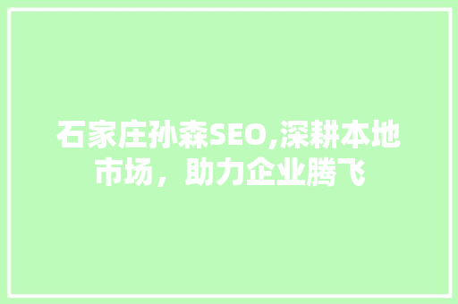 石家庄孙森SEO,深耕本地市场，助力企业腾飞